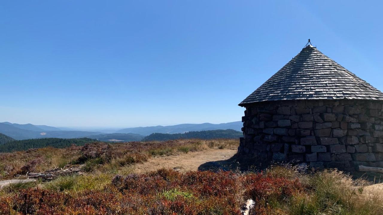 Chalet L Ecrin Vert Plaine Eksteriør billede